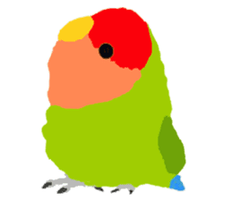 Beloved Rosy-faced lovebird sticker #13288081