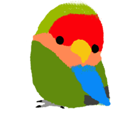 Beloved Rosy-faced lovebird sticker #13288088