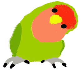 Beloved Rosy-faced lovebird sticker #13288090