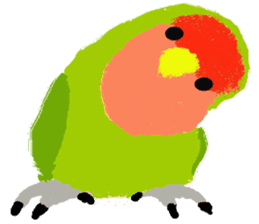 Beloved Rosy-faced lovebird sticker #13288090