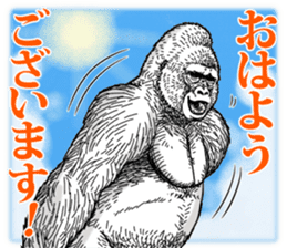 Honorific of Gorilla gorilla gorilla 2 sticker #13288262