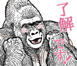 Honorific of Gorilla gorilla gorilla 2 sticker #13288266