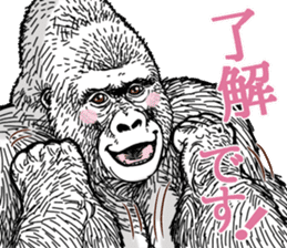 Honorific of Gorilla gorilla gorilla 2 sticker #13288266