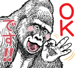 Honorific of Gorilla gorilla gorilla 2 sticker #13288268