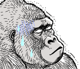 Honorific of Gorilla gorilla gorilla 2 sticker #13288280