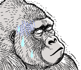Honorific of Gorilla gorilla gorilla 2 sticker #13288280
