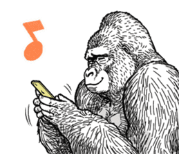 Honorific of Gorilla gorilla gorilla 2 sticker #13288285