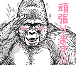 Honorific of Gorilla gorilla gorilla 2 sticker #13288289