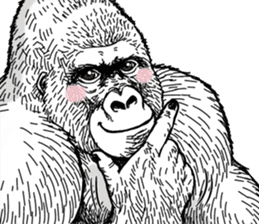Honorific of Gorilla gorilla gorilla 2 sticker #13288291