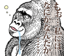 Honorific of Gorilla gorilla gorilla 2 sticker #13288294