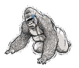 Honorific of Gorilla gorilla gorilla 2 sticker #13288298