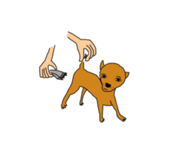 RAINRAIN sticker #13290481