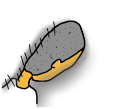 A cheeful person sticker #13291942