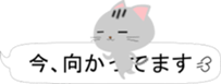 Cute Cat(Daily conversation) sticker #13292748