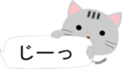 Cute Cat(Daily conversation) sticker #13292753