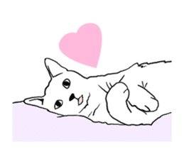 Real cat(animated) sticker #13295137