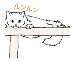 Real cat(animated) sticker #13295140