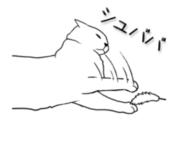 Real cat(animated) sticker #13295148