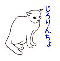 Real cat(animated) sticker #13295154