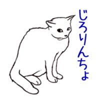 Real cat(animated) sticker #13295154