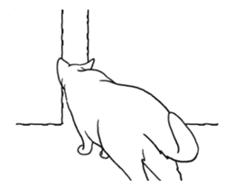Real cat(animated) sticker #13295155
