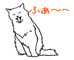 Real cat(animated) sticker #13295156