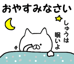 Name Sticker shu can be used sticker #13296525