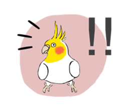 Parakeet and lady sticker #13297385