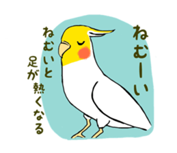 Parakeet and lady sticker #13297392