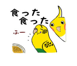 Parakeet and lady sticker #13297394