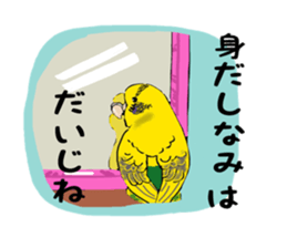 Parakeet and lady sticker #13297395