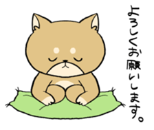 chewy animals sticker #13299180