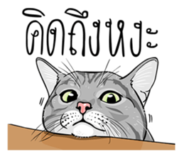 Kwak Ngern & Kwak Tong sticker #13299889