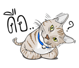 Kwak Ngern & Kwak Tong sticker #13299895