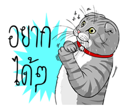 Kwak Ngern & Kwak Tong sticker #13299899