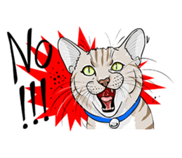 Kwak Ngern & Kwak Tong sticker #13299900