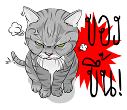 Kwak Ngern & Kwak Tong sticker #13299903