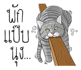 Kwak Ngern & Kwak Tong sticker #13299913