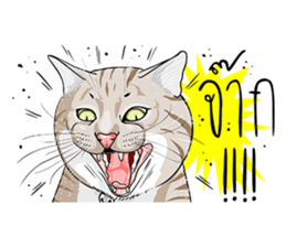 Kwak Ngern & Kwak Tong sticker #13299914