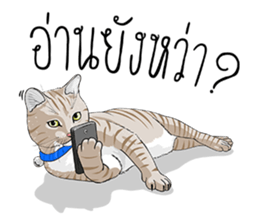 Kwak Ngern & Kwak Tong sticker #13299915