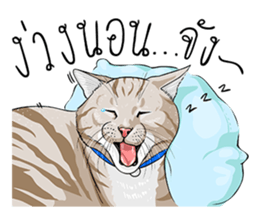 Kwak Ngern & Kwak Tong sticker #13299920