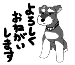 SHOE THE SCHNAUZER sticker #13300150