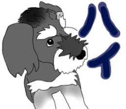 SHOE THE SCHNAUZER sticker #13300152