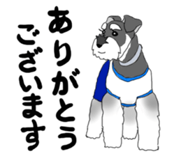 SHOE THE SCHNAUZER sticker #13300154