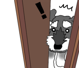 SHOE THE SCHNAUZER sticker #13300155