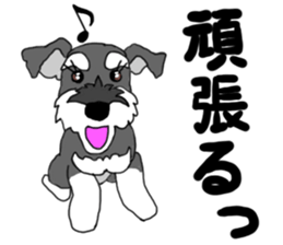 SHOE THE SCHNAUZER sticker #13300167