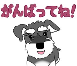 SHOE THE SCHNAUZER sticker #13300169