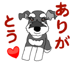 SHOE THE SCHNAUZER sticker #13300177