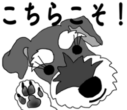 SHOE THE SCHNAUZER sticker #13300181