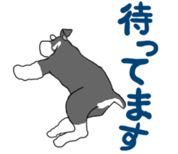 SHOE THE SCHNAUZER sticker #13300183